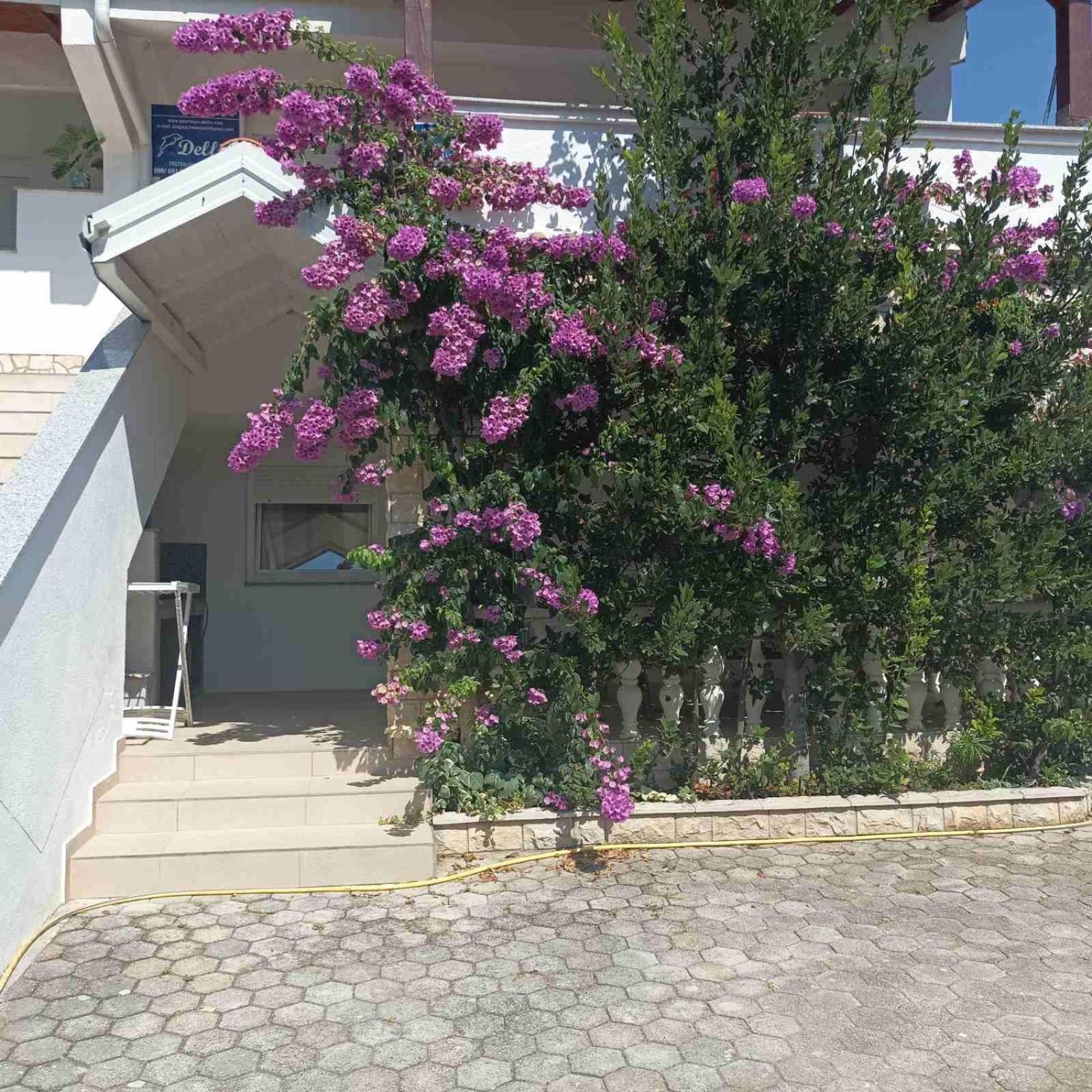 Apartments Vir Delfin Exterior photo