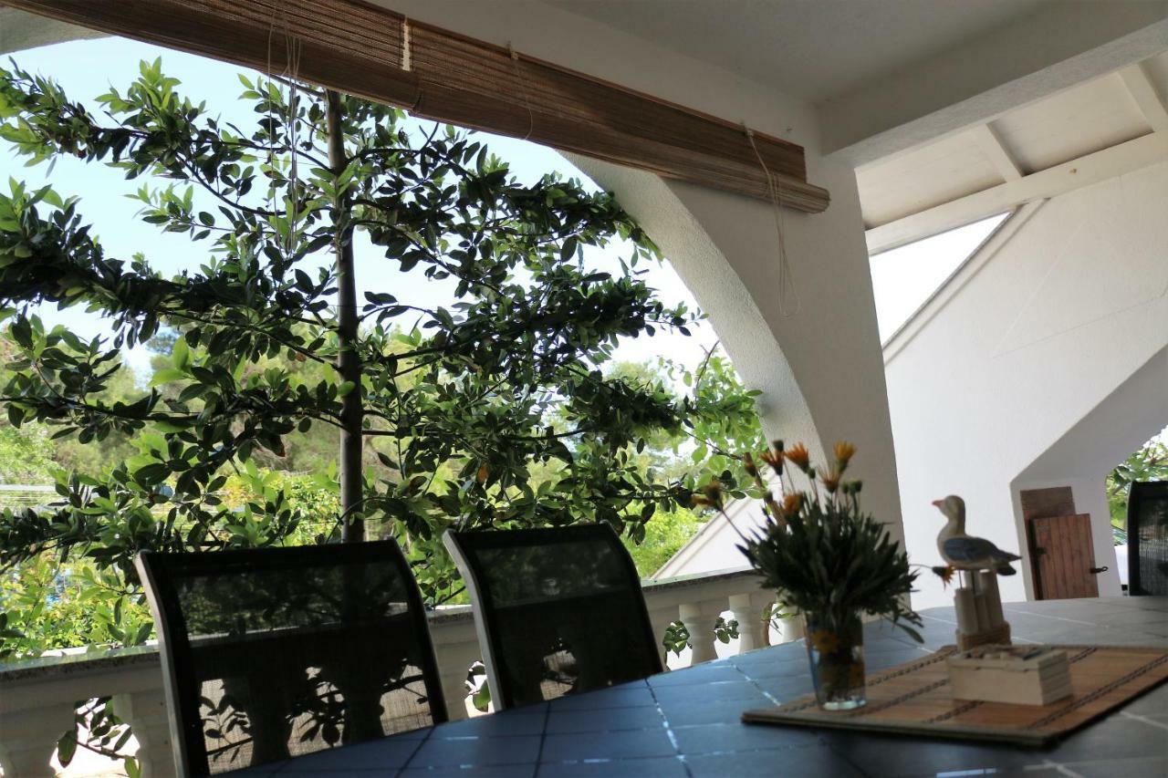 Apartments Vir Delfin Exterior photo